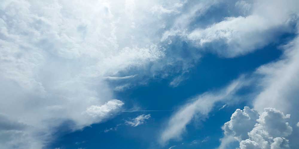 Eliminador de Olores Grande