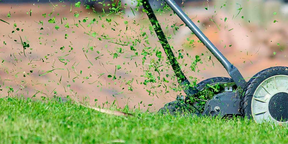 Hierba Recien Cortada Grande