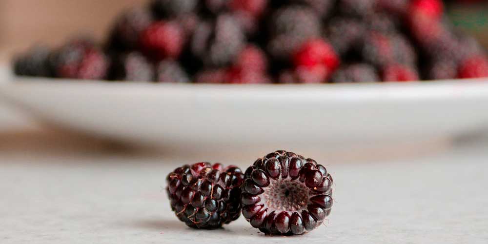 Moras Grande